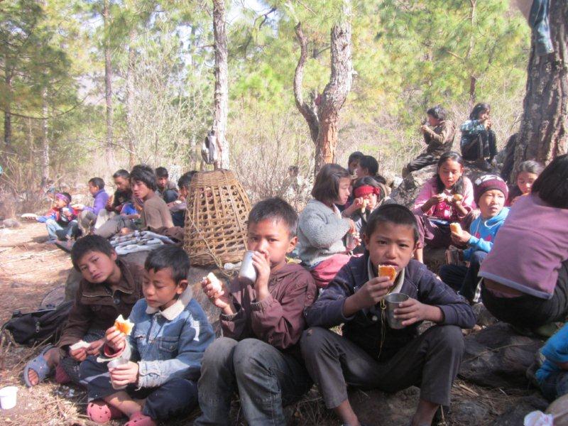 The children enjoying a farewell picnic in the forest!
